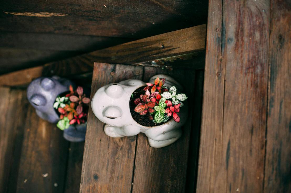 Planter Weep Holes