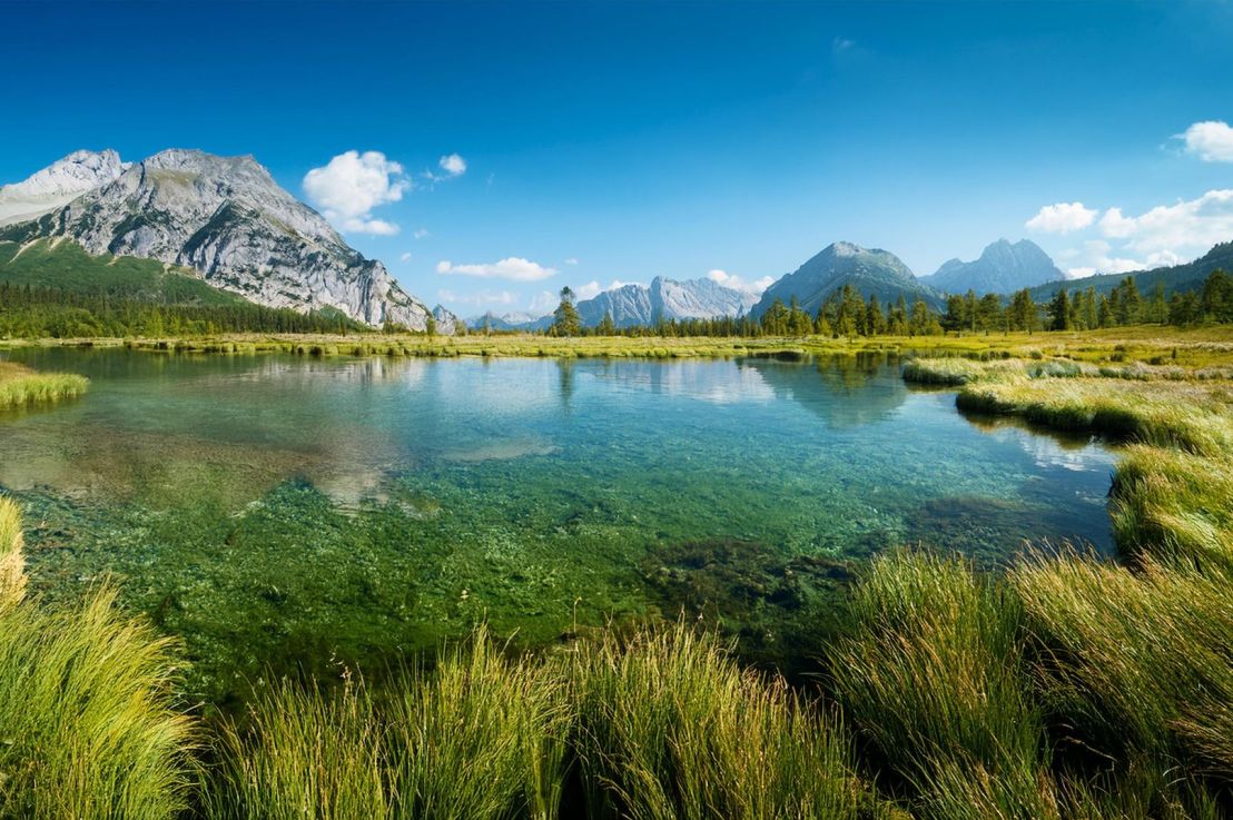 Hypertrophic Lakes