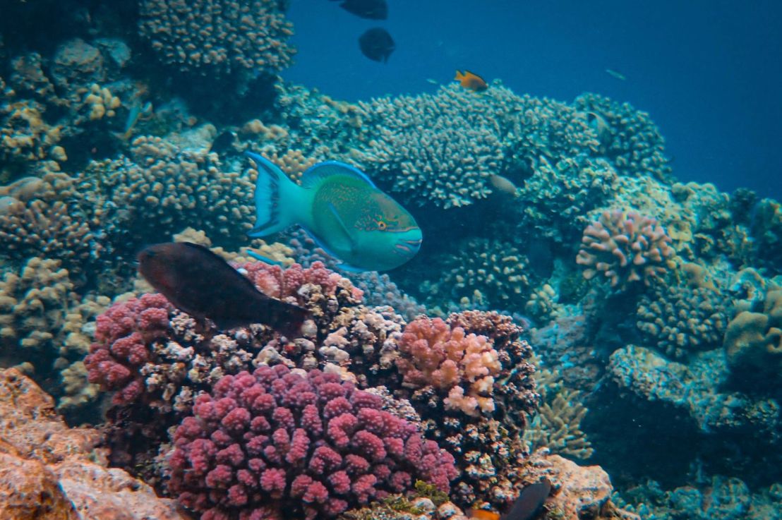 Biological Productivity in Water&nbsp;Bodies