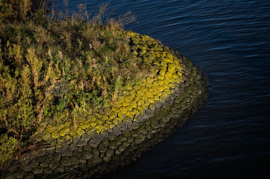 Living Shorelines