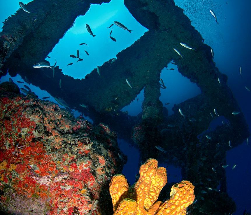 Artificial Reefs