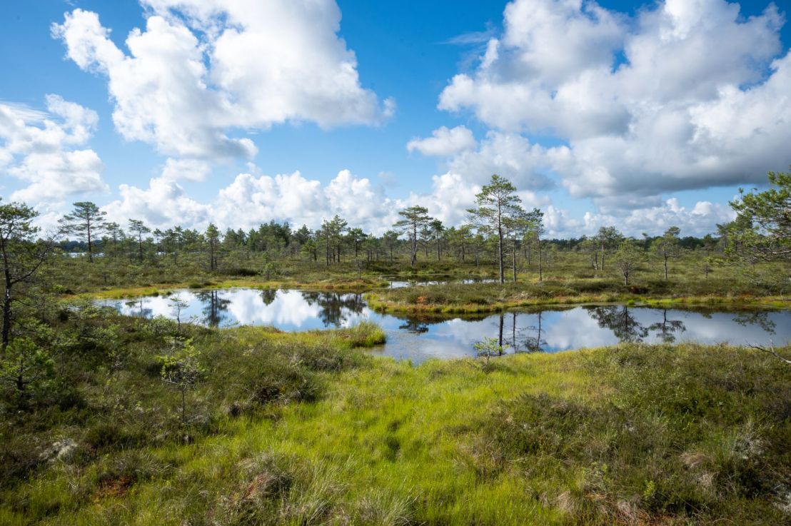 Peatlands