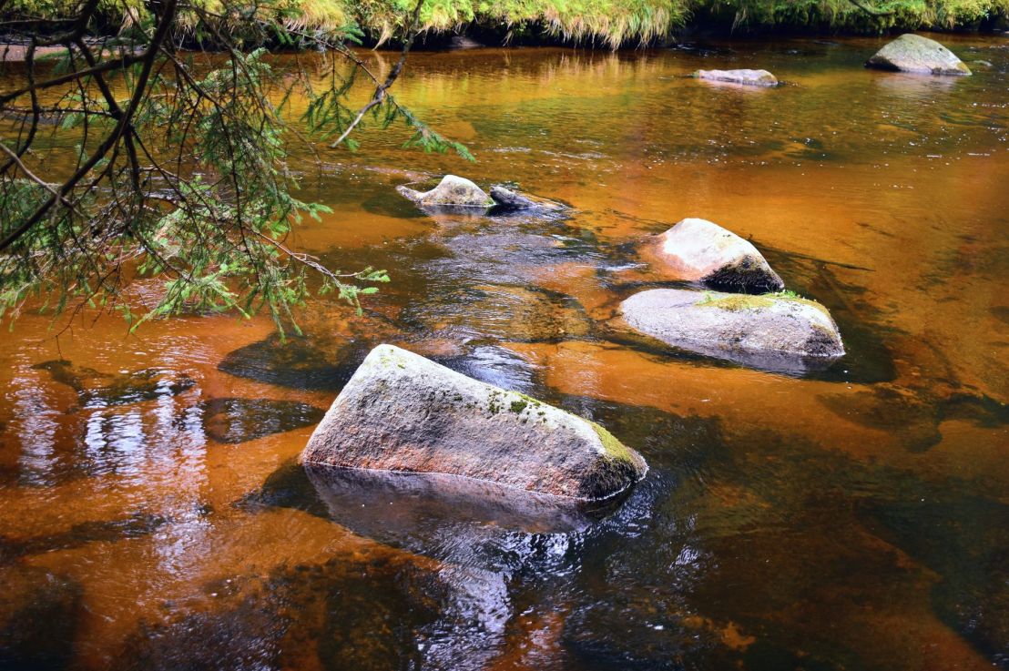 Blackwater Rivers