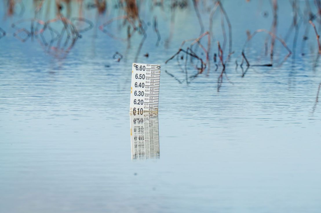 Base Flood Elevation